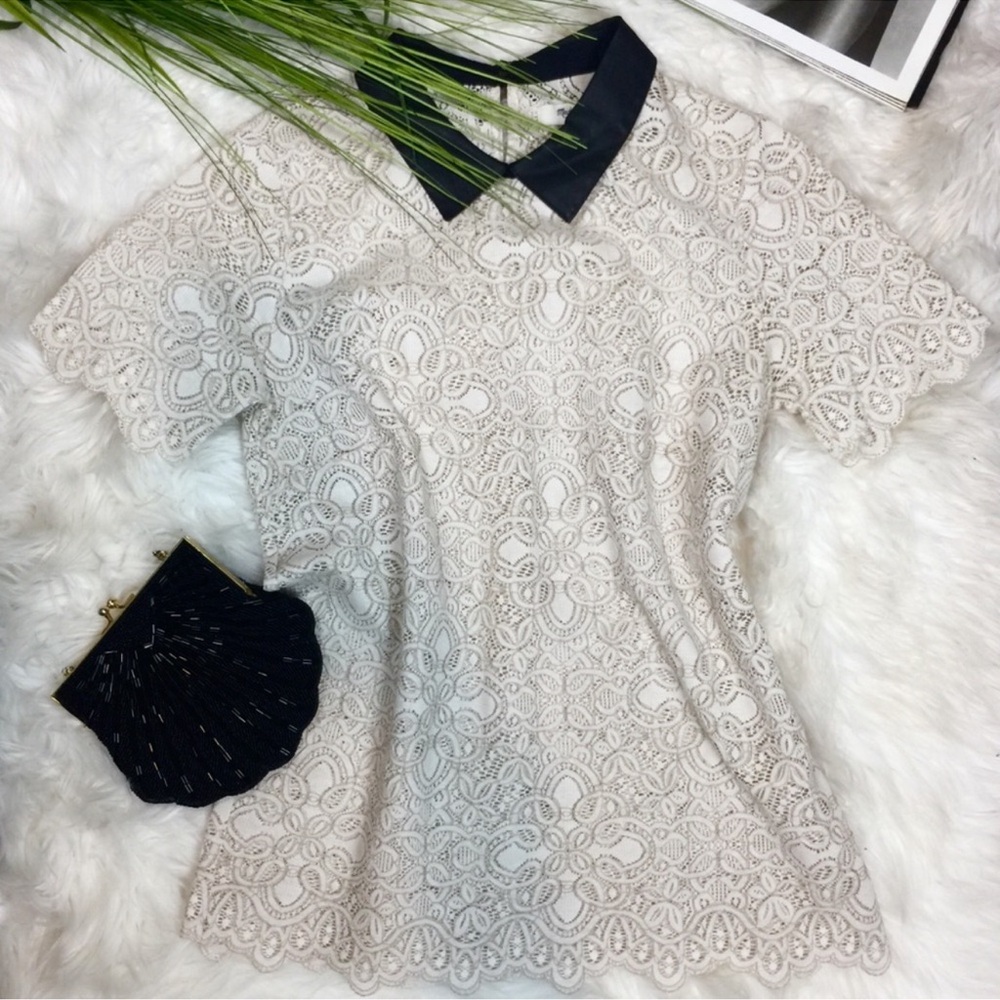 Madewell Cream & Black Lace Collared Chic Blouse
